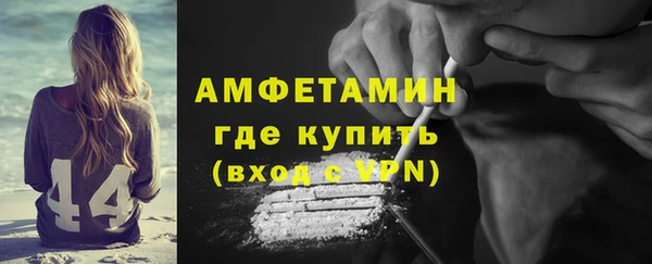 прущие грибы Вяземский