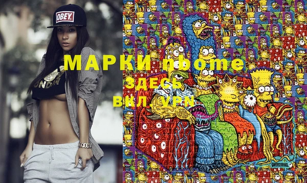 прущие грибы Вяземский