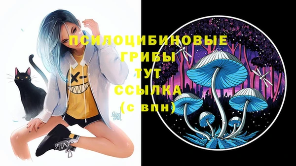 первитин Вязники