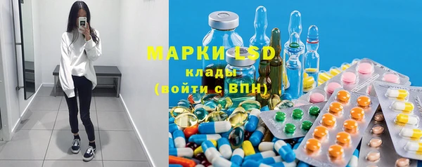 прущие грибы Вяземский