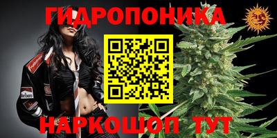 мяу мяу мука Кинель