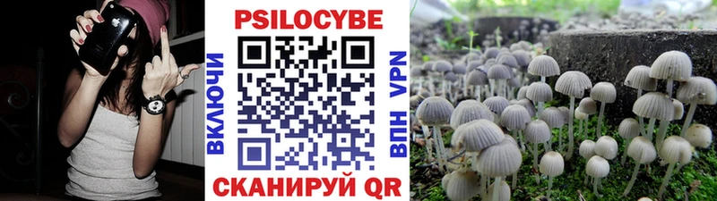 Псилоцибиновые грибы ЛСД  Муром 