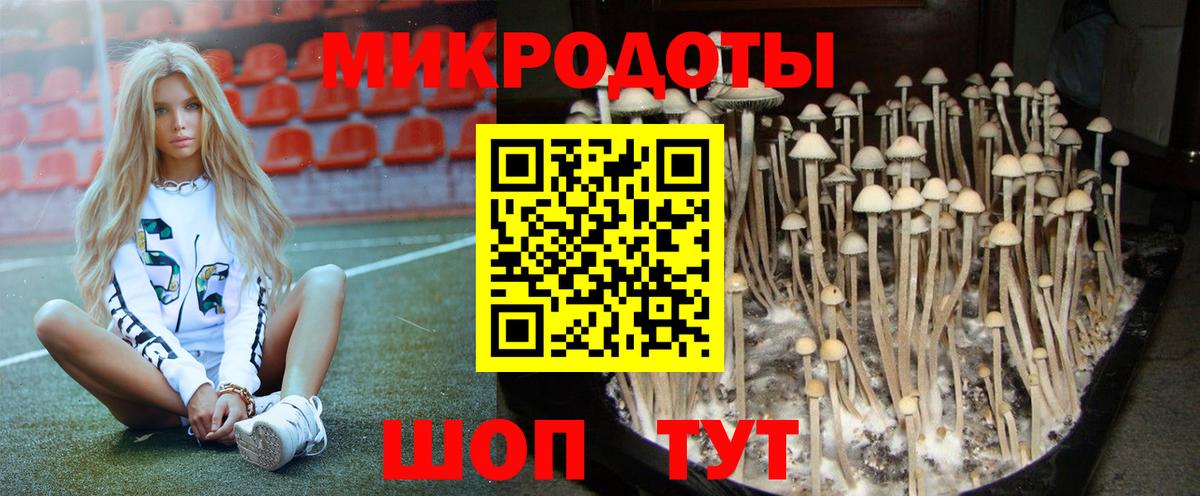Муром  наркота  Вход с VPN  Псилоцибиновые грибы Psilocybine cubensis 